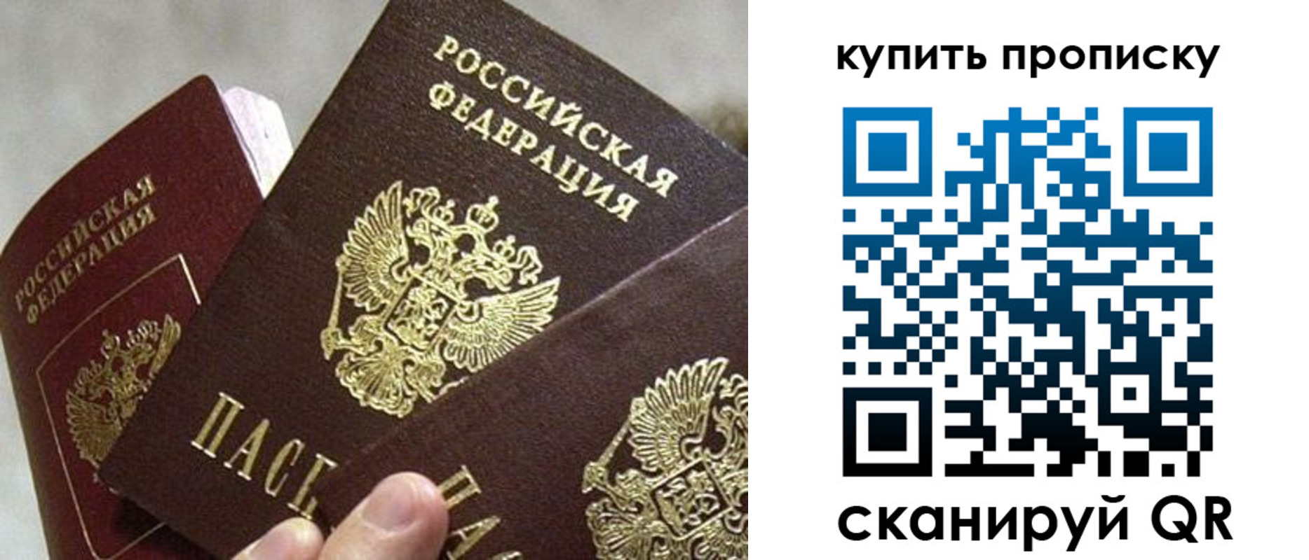 прописка для школы в Рыльске